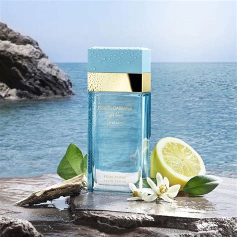 dolce gabbana parfum damen blau|dolce and gabbana perfume original.